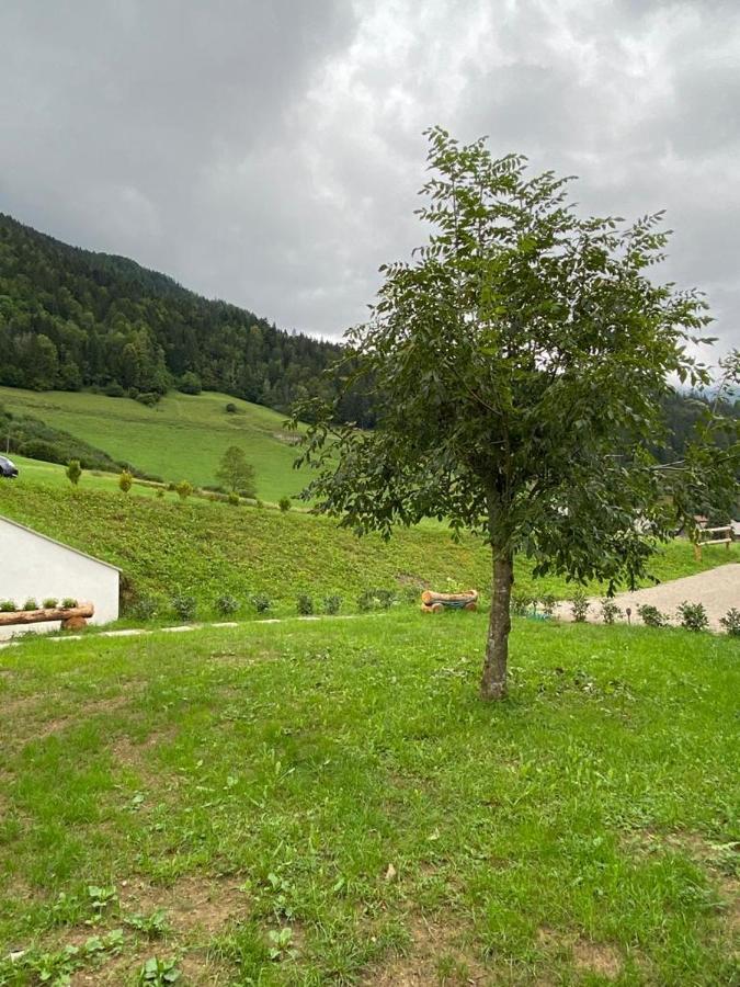 Apartamento Apartma Lupis Podvolovljek Exterior foto